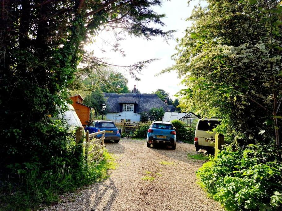 Piddle Puddle Cabin Ντόρτσεστερ Εξωτερικό φωτογραφία