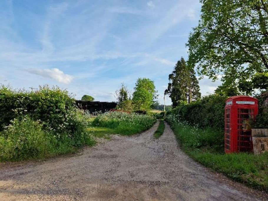 Piddle Puddle Cabin Ντόρτσεστερ Εξωτερικό φωτογραφία