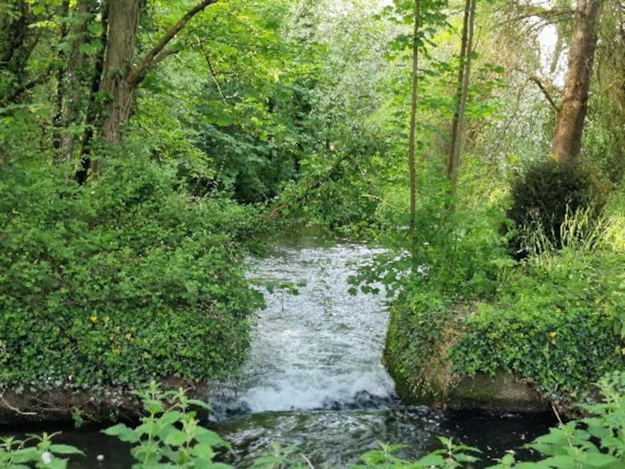 Piddle Puddle Cabin Ντόρτσεστερ Εξωτερικό φωτογραφία